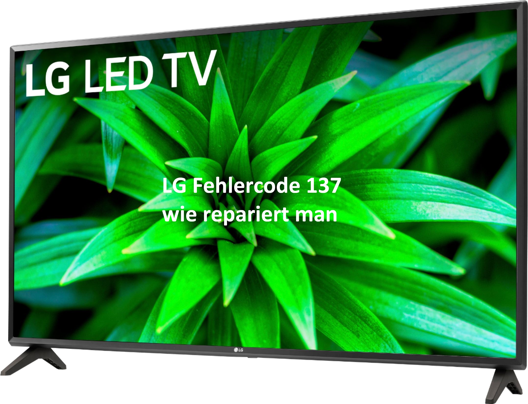 LG Fehlercode 137 – wie repariert man